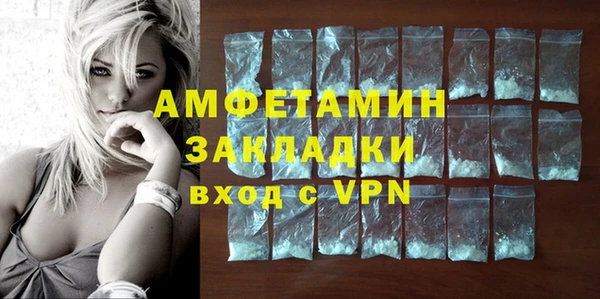 прущие грибы Дмитриев