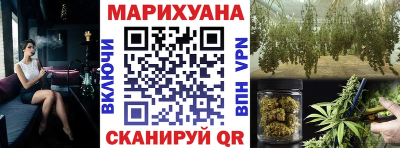 Конопля планчик Чулым